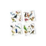 Ratnas Educational Bird Puzzle - Image 2