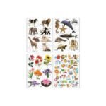 Knowledge Bank-2 – 8-in-1 Educational Jigsaw Puzzle Set for Kids | Learn Fruits, Vegetables, Animals, Birds, Flowers & More - Image 3