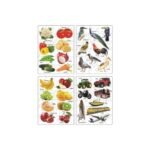 Knowledge Bank-2 – 8-in-1 Educational Jigsaw Puzzle Set for Kids | Learn Fruits, Vegetables, Animals, Birds, Flowers & More - Image 4